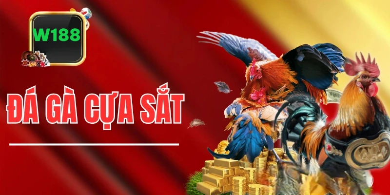 Đá gà cựa sắt mang đến những trận đấu quyết liệt, đầy kịch tính với chất lượng hình ảnh Full HD.